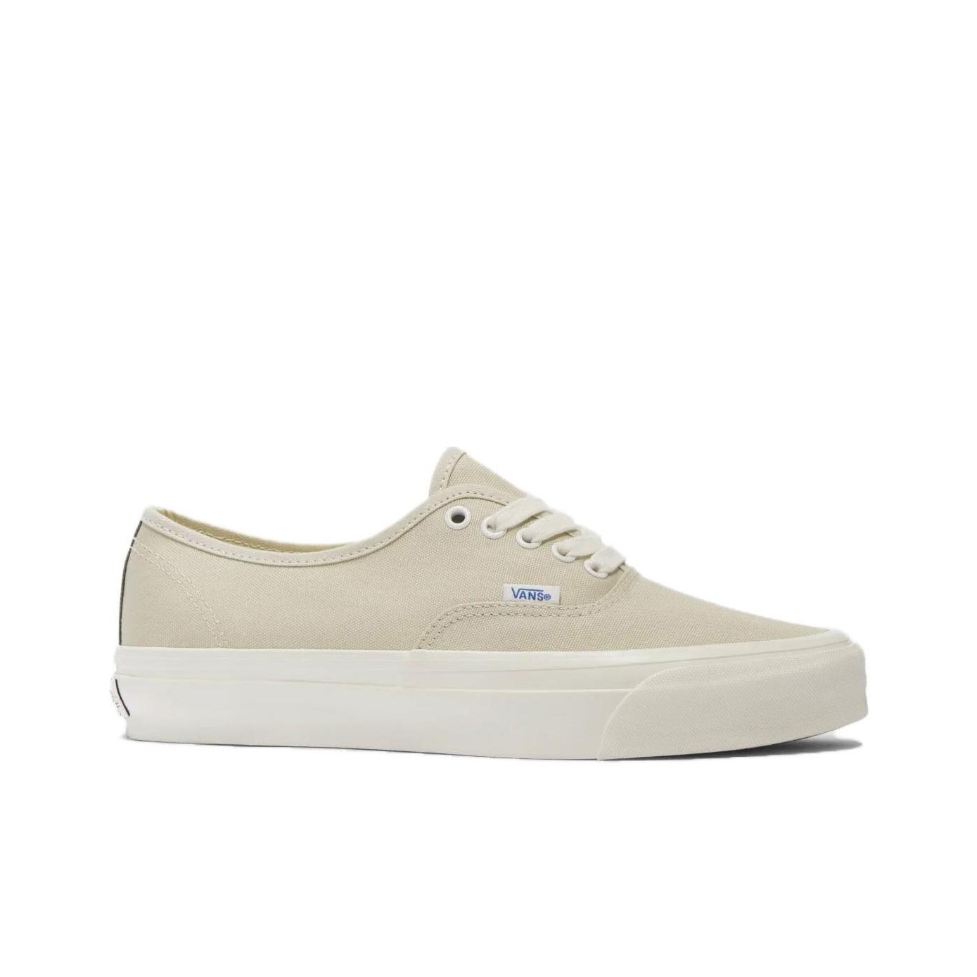 Vans Authentic Skateboard Shoe - Vans Shoes Authentic review and price