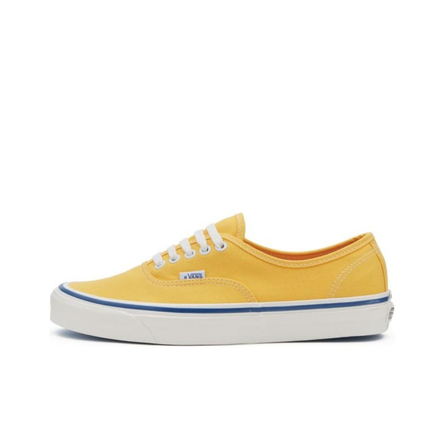 Vans Authentic Skateboard Shoe - Vans Shoes Authentic review and price